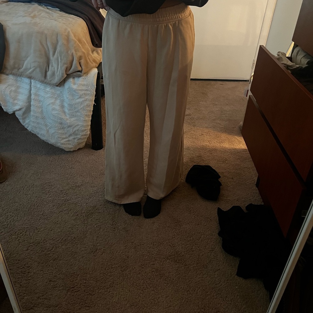 Tanish H&M wide leg sweatpants